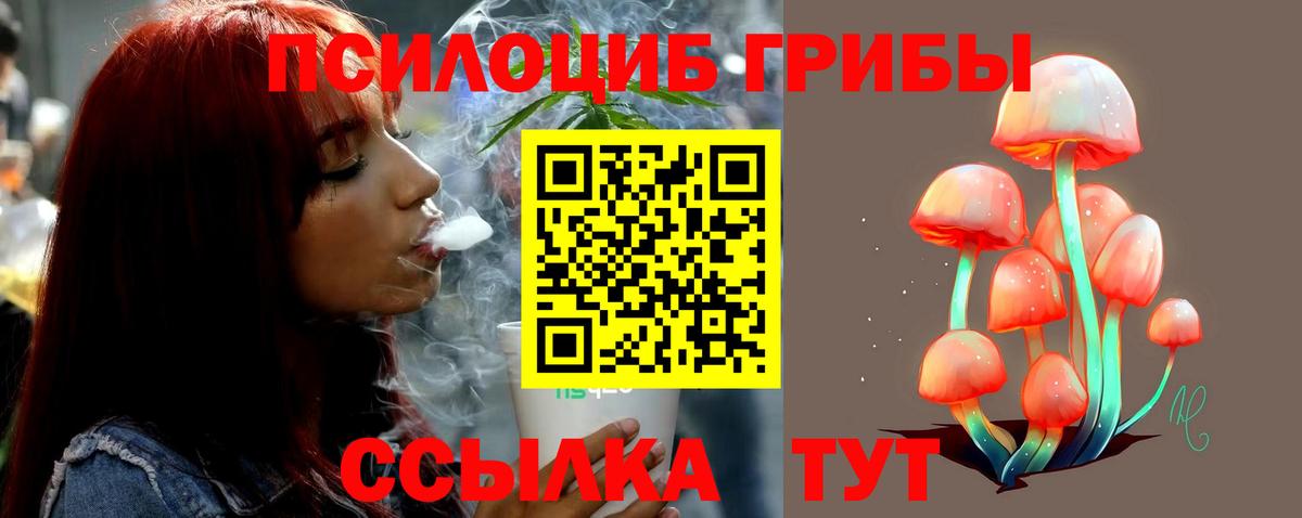Новозыбков  Галлюциногенные грибы мицелий  Вход с VPN 