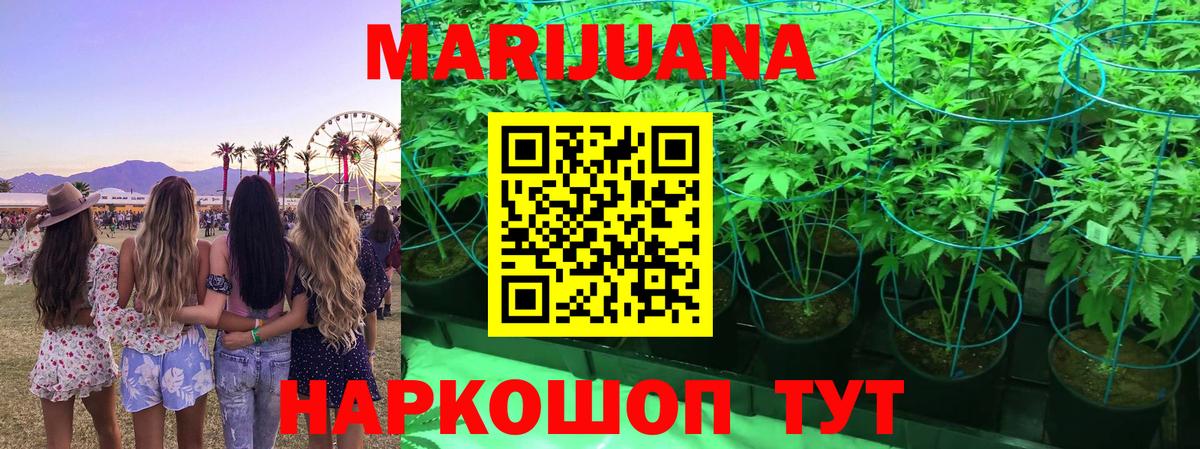 Шишки марихуана OG Kush  Вход с VPN  Новозыбков  Каннабис план 